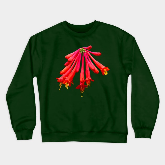 Red Honeysuckle flower Crewneck Sweatshirt by dalyndigaital2@gmail.com